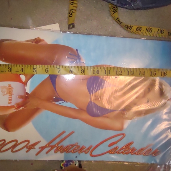 Hooter's Calendar new collectable - Picture 3 of 16